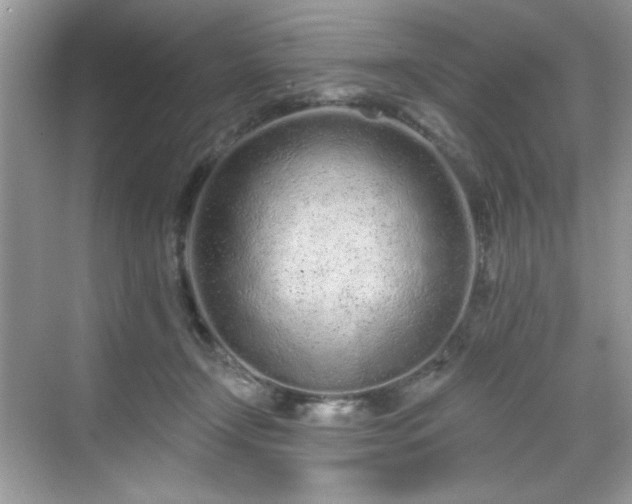 X0000069400366200605151025