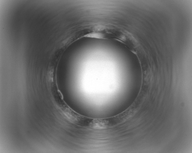 X0000069400368200605151025