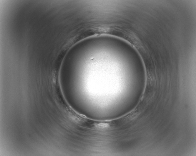 X0000069400374200605151025