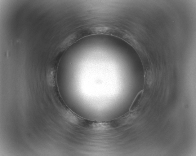 X0000069400378200605151025
