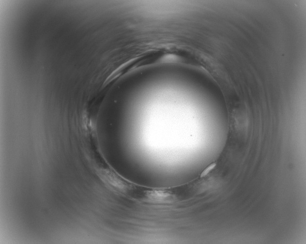 X0000069400380200605151025