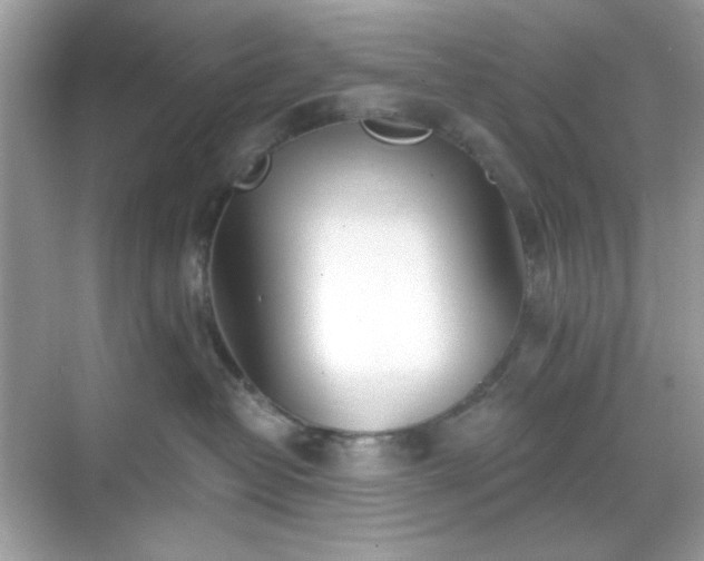 X0000069400382200605151025