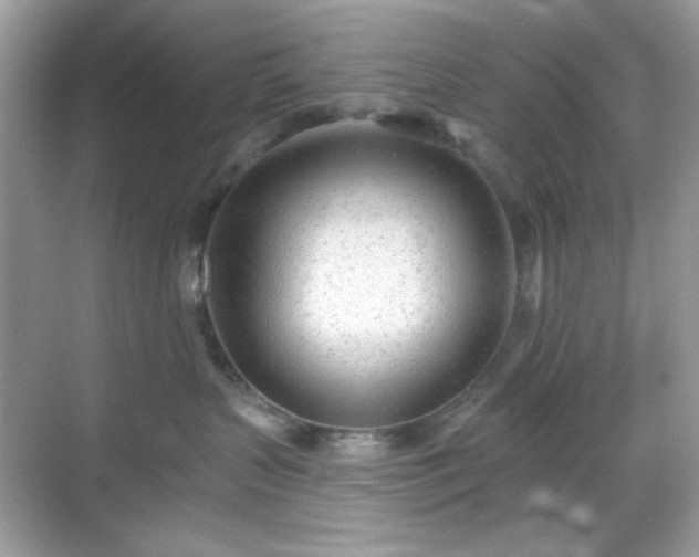 X0000069400383200605151025