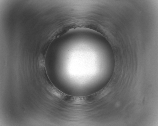 X0000069400384200605151025
