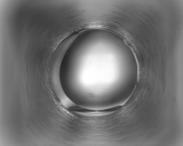 X0000069400385200605151024