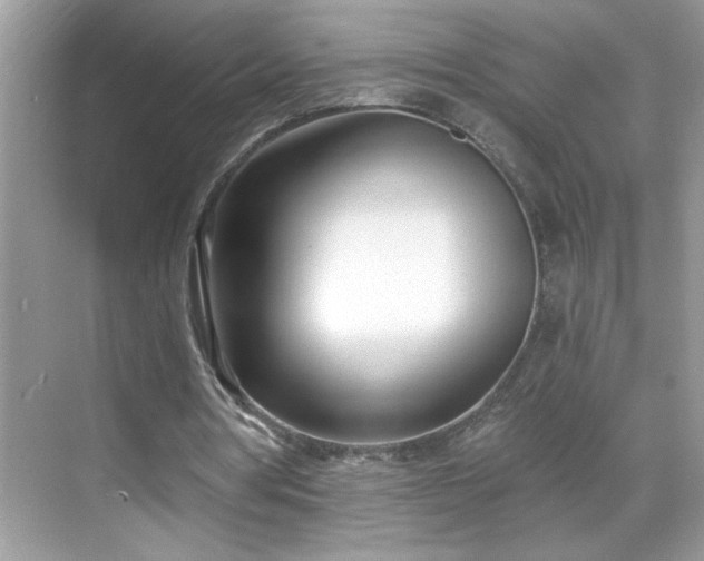 X0000069400386200605151024