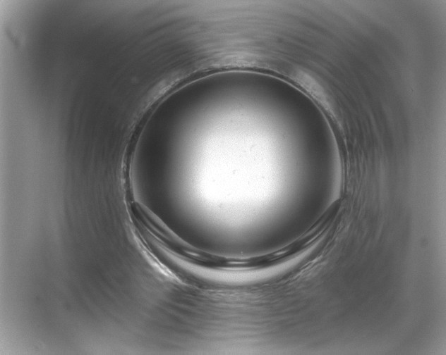 X0000069400389200605151024