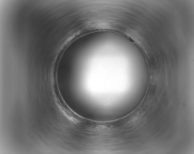 X0000069400390200605151024