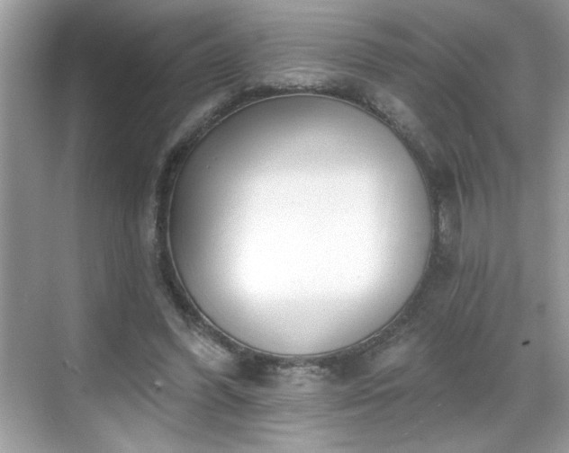 X0000069400396200605151024
