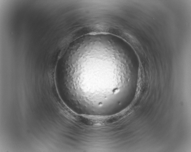 X0000069400409200605151024