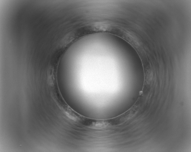 X0000069400414200605151024