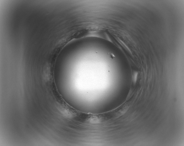X0000069400416200605151024