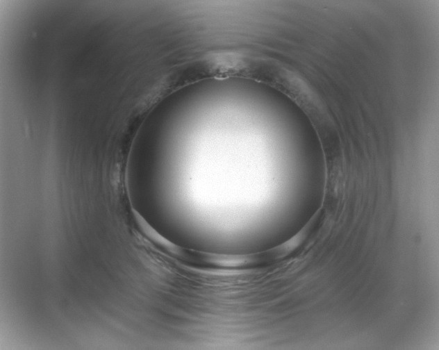 X0000069400417200605151024