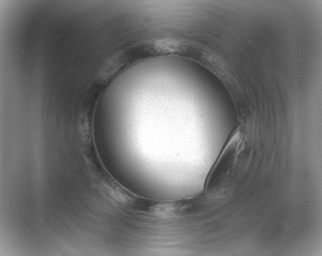 X0000069400418200605151024