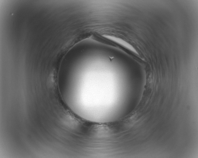 X0000069400424200605151024