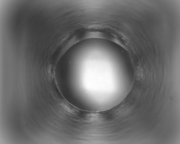 X0000069400428200605151023