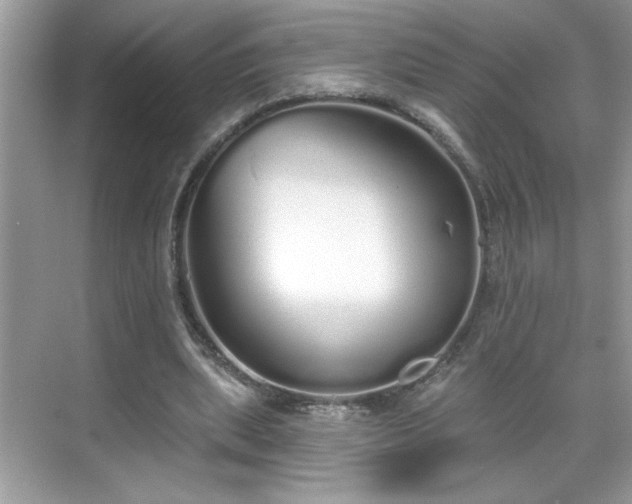 X0000069400439200605151023