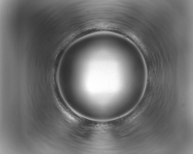 X0000069400445200605151023