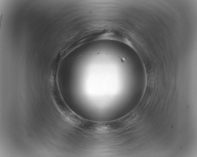 X0000069400456200605151023