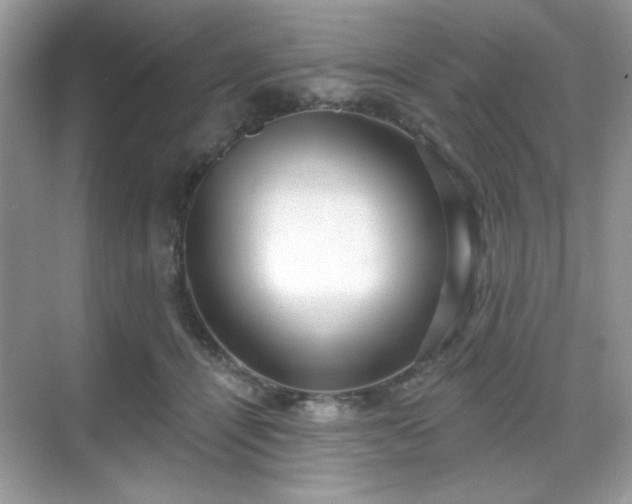 X0000069400464200605151023