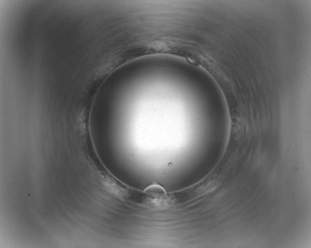 X0000069400466200605151023