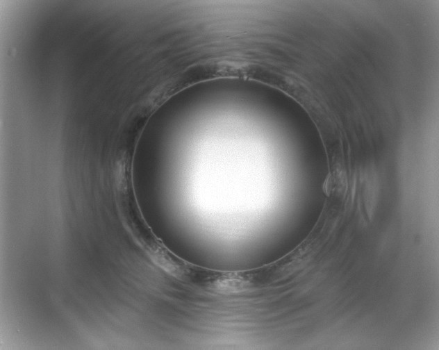 X0000069400468200605151023