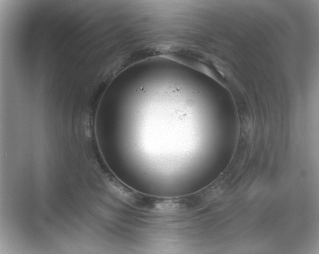 X0000069400470200605151023