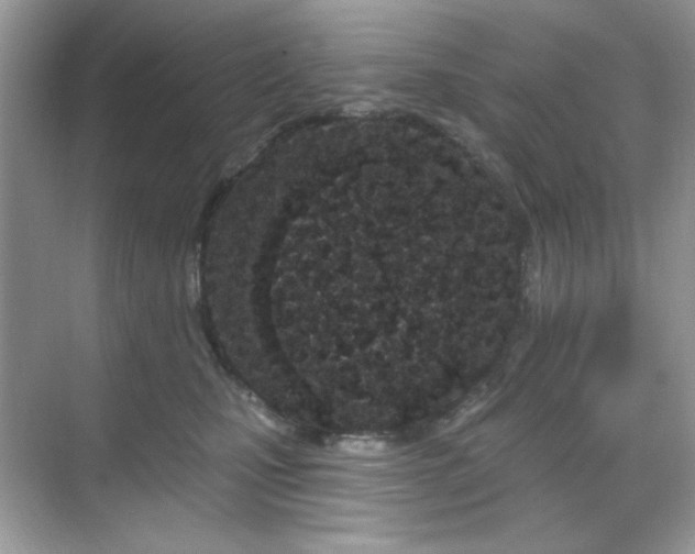 X0000069400471200605151023