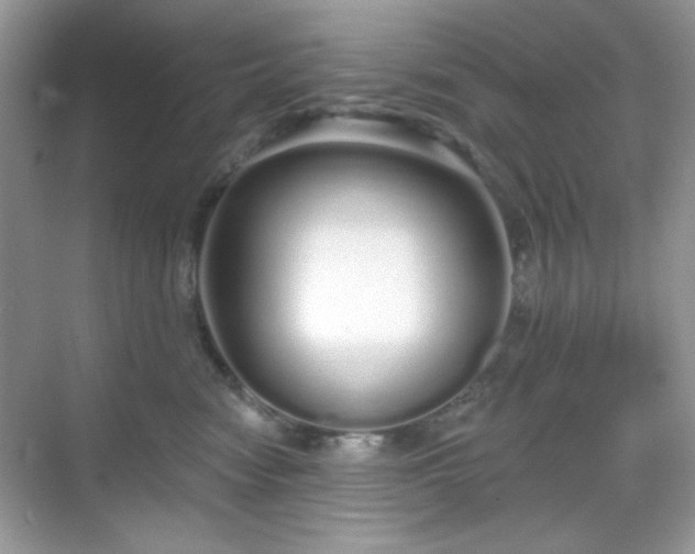 X0000069400474200605151023