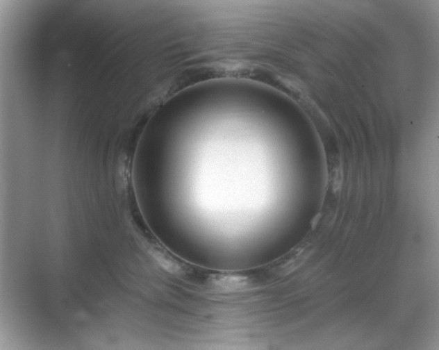 X0000069400476200605151023