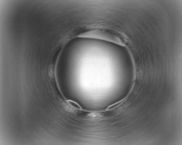 X0000069400477200605151023