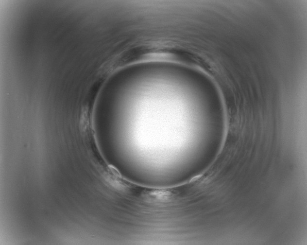 X0000069400478200605151023