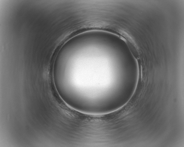 X0000069400483200605151023