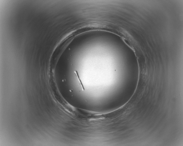 X0000069400484200605151022