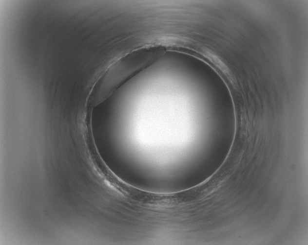 X0000069400485200605151022