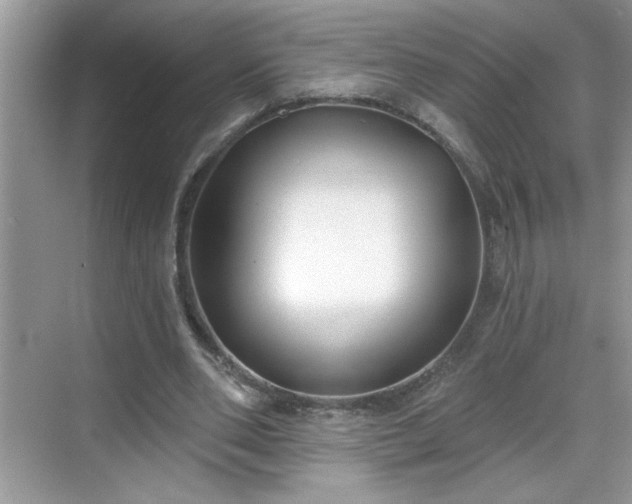 X0000069400486200605151022