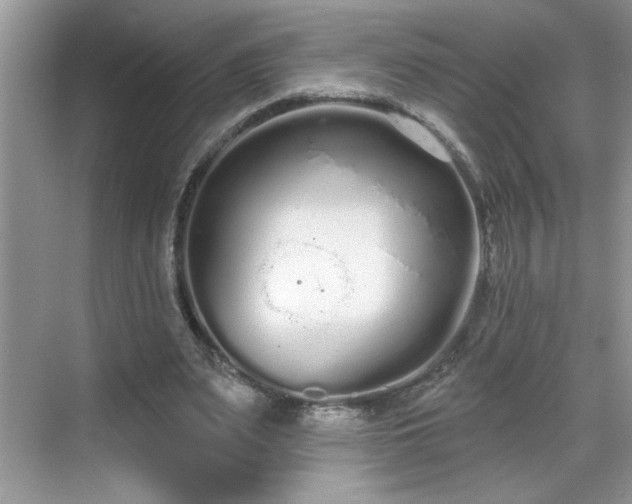 X0000069400487200605151022