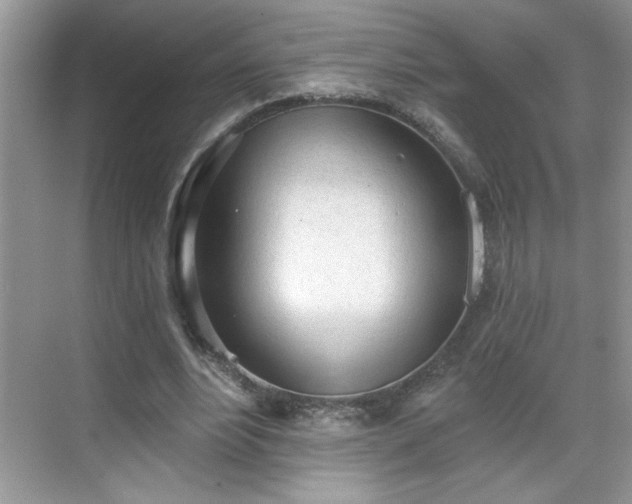 X0000069400488200605151022