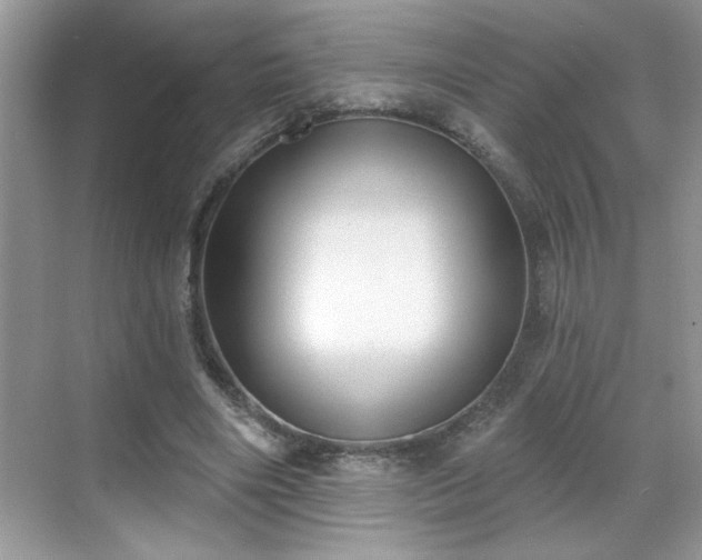 X0000069400490200605151022