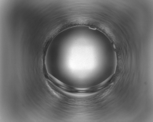 X0000069400493200605151022