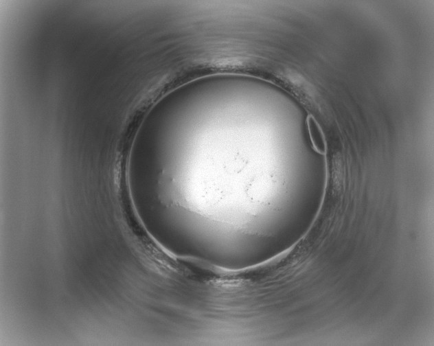 X0000069400495200605151022
