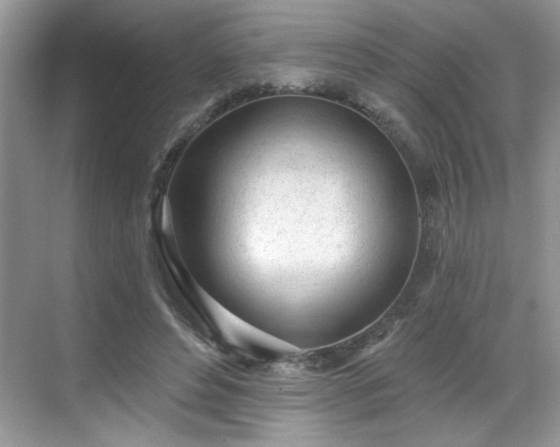 X0000069400496200605151022