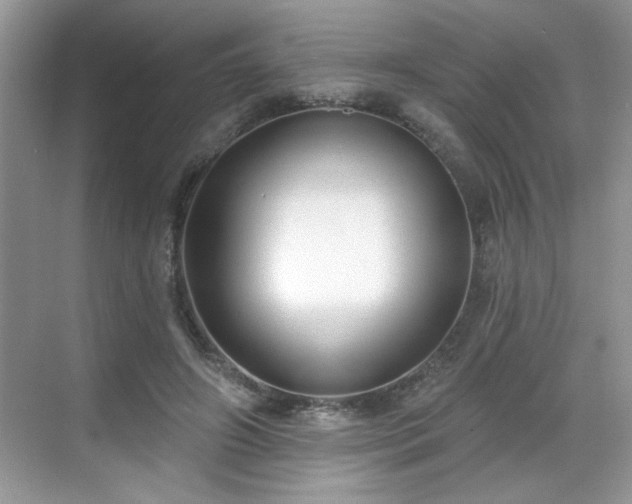 X0000069400498200605151022