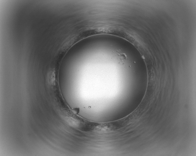 X0000069400502200605151022