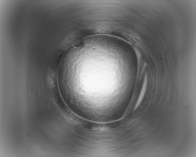 X0000069400503200605151022