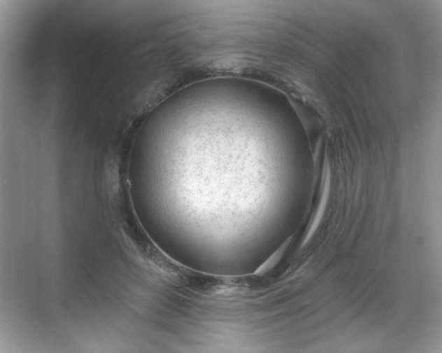 X0000069400504200605151022