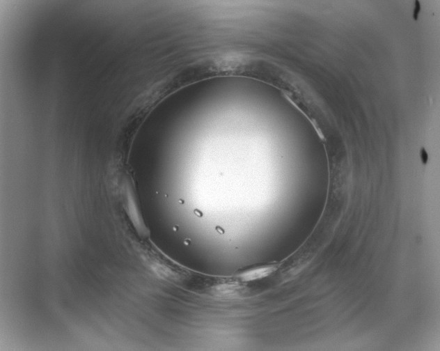 X0000069400505200605151022