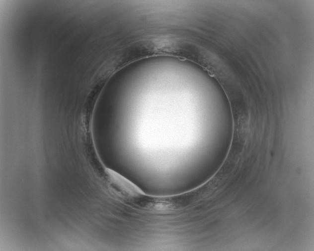 X0000069400506200605151022
