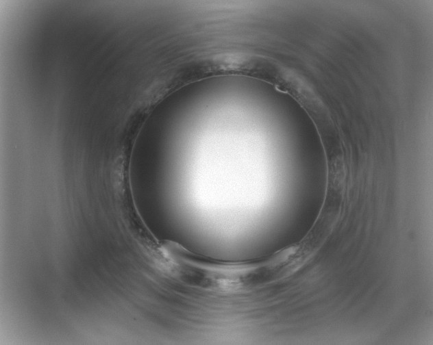 X0000069400509200605151022