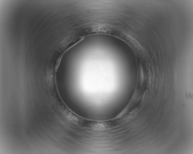 X0000069400513200605151022